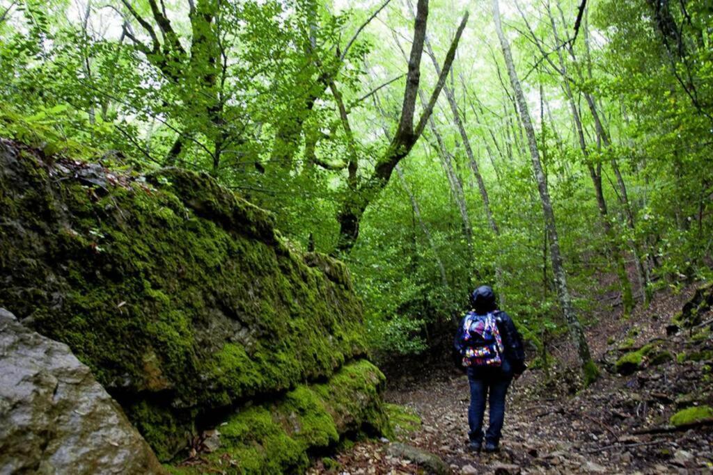 Ferula Romantica Mansarda Tra Fiumi E Montagne Sardegna Seùlo 外观 照片