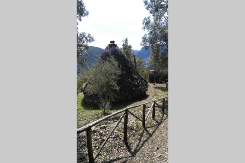 Ferula Romantica Mansarda Tra Fiumi E Montagne Sardegna Seùlo 外观 照片