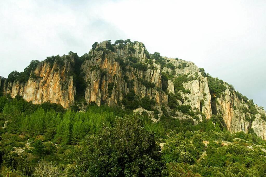 Ferula Romantica Mansarda Tra Fiumi E Montagne Sardegna Seùlo 外观 照片