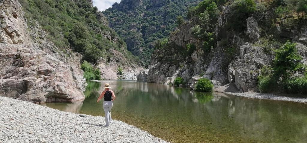 Ferula Romantica Mansarda Tra Fiumi E Montagne Sardegna Seùlo 外观 照片